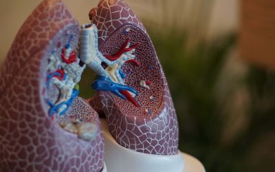 COVID-19: Gene that doubles risk of respiratory failure from COVID identified by Oxford University scientists